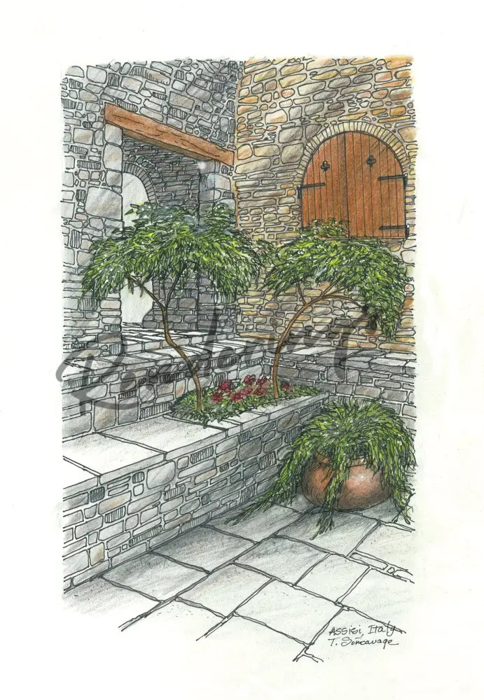 Courtyard With Trees Assisi Italy Art Prints