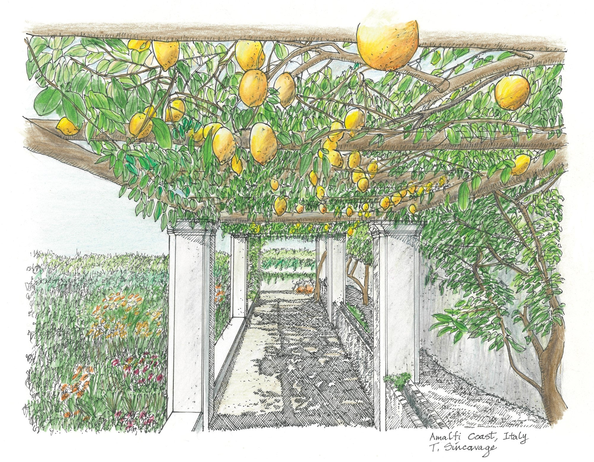 Amalfi Coast with Lemons