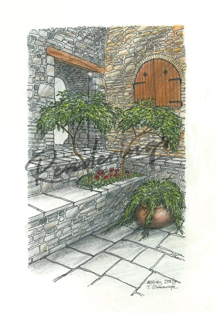 Courtyard With Trees Assisi Italy Art Prints